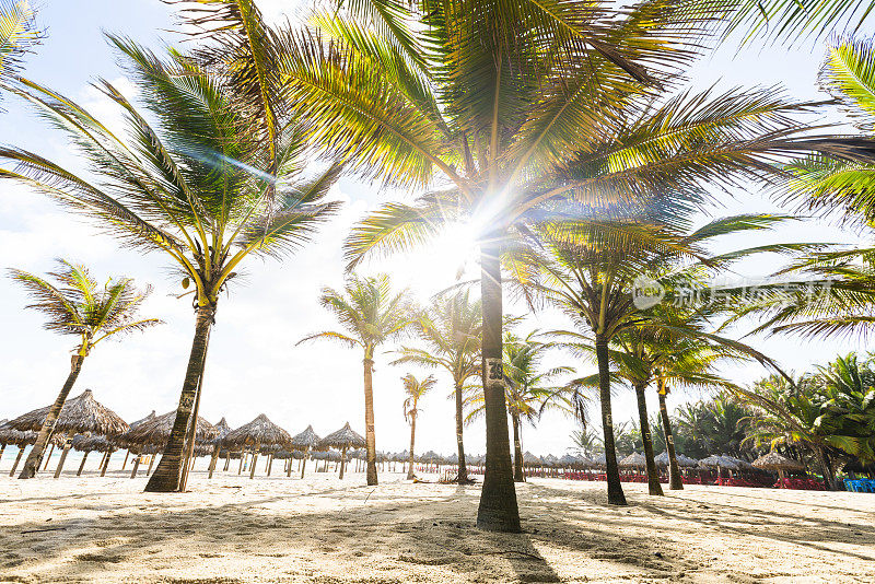 Futuro beach, Ceará, Brazil